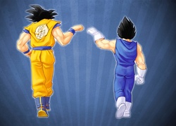 Dragon Ball Z, Son Goku, Vegeta