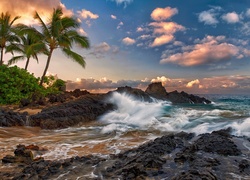 Hawaje, Maui, Morze, Skałki, Palma