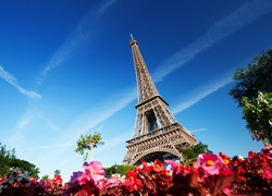 Francja, Paryż, Wieża, Eiffla