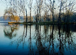 Jezioro, Lasy, Kaczki, Odbicie, Wodne