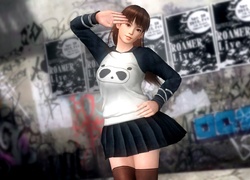 Dead Or Alive 5, Lei Fang