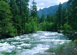 Stany Zjednoczone, Stan Kalifornia, Park Narodowy Yosemite, Rzeka, Las, Góry