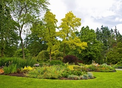 Park, Drzewa, Klomby, Kwiaty, Ławka