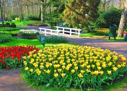 Park, Alejka, Mostek, Tulipany