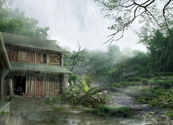 Dom, Drzewa, Deszcz
