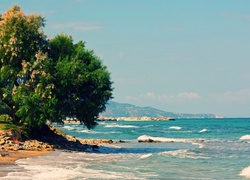 Morze, Drzewo, Zakynthos, Grecja