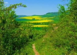 Łąki, Pola, Góry, Ścieżka