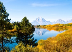 Stany Zjednoczone, Stan Wyoming, Park Narodowy Grand Teton, Rzeka Snake River, Góry, Szczyt Mount Moran, Drzewa