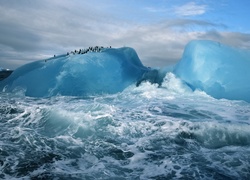 Pingwiny, Góra lodowa