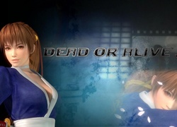 Dead Or Alive 5, Kasumi