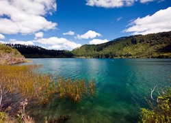 Jezioro, Lasy, Chmurki, Nowa, Zelandia