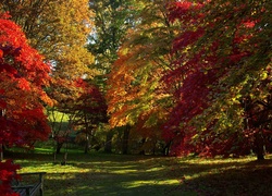 Park, Ławka, Jesień