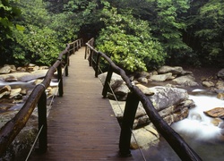 Most, Drewniany, Rzeka, Kamienie, Rododendron