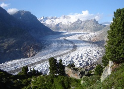 Alpy, Berneńskie, Lodowiec, Aletschgletscher, Rośliny, Szwajcaria