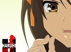 Suzumiya Haruhi No Yuuutsu, oko, palce