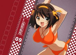 Suzumiya Haruhi No Yuuutsu, pomarańczowy strój kąpielowy