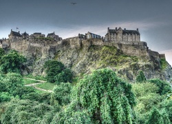 Zamek w Edynburgu, Edinburgh Castle, Szkocja, Edynburg, Skały, Drzewa