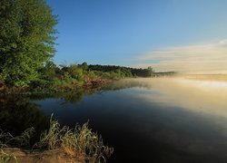 Jezioro, Mgła, Las