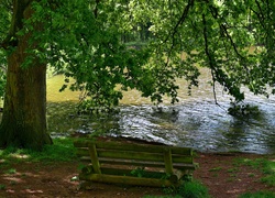 Park, Rzeka, Drzewo, Ławka