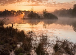 Jezioro, Zachód, Słońca, Mgła, Drzewa