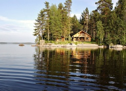 Jezioro, Las, Dom