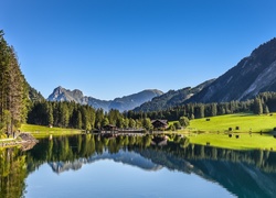 Góry, Jezioro, Lasy, Tyrol, Austria