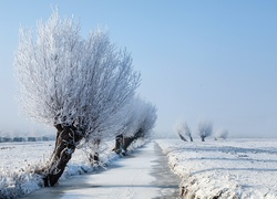 Zamarznięta, Rzeka, Drzewa, Pola, Śnieg