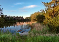 Jezioro, Szuwary, Łódka