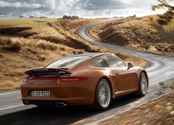 Porsche 911 Carrera 4, Droga
