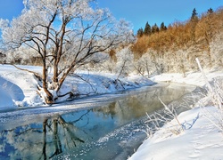 Las, Rzeka, Zima