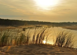 Rzeka, Lasy, Trawy, Wschód, Słońca