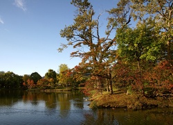 Jezioro, Park, Nakajima, Japonia