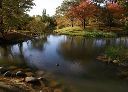 Jezioro, Park, Nakajima, Japonia