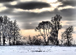 Chmury, Drzewa, Śnieg