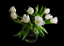 Białe, Tulipany, Wazon