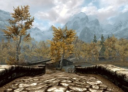 Screen, Gra, Komputerowa, Skyrim