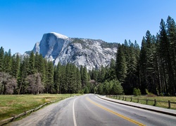Stany Zjednoczone, Stan Kalifornia, Park Narodowy Yosemite, Góry, Lasy, Droga