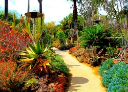 Ogród, Botaniczny, San Marino, Kalifornia, USA