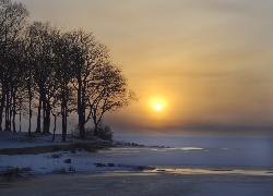 Jezioro, Drzewa, Mgła, Śnieg