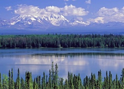 Alaska, Willow, Park, Narodowy
