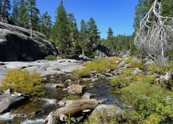 Stany Zjednoczone, Stan Kalifornia, Park Narodowy Yosemite, Kamienie, Rzeka, Las