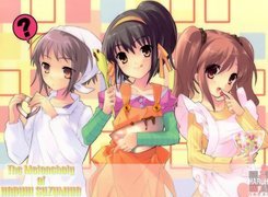 Suzumiya Haruhi No Yuuutsu, miska, wałek