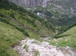 Góry, Kamienie,trawa