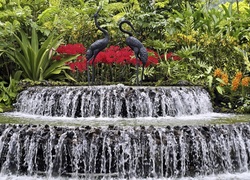 Park, Fontanna