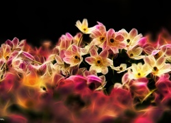 Kwiaty, Fractalius