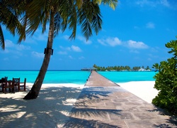 Morze, Plaża, Palmy, Malediwy