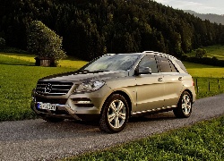 Mercedes M-Class ML500, Droga, Las