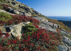 Stany Zjednoczone, Stan Maine, Park Narodowy Acadia, Morze, Skały