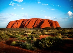 Uluru, Czerwona, Skała, Skrub