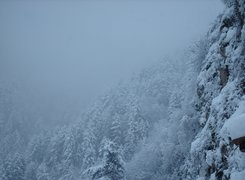 Śnieg, Drzewa, Góry
